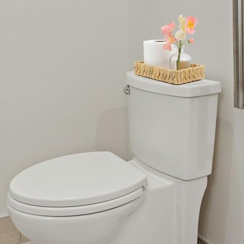 Water Hyacinth Bathroom Vanity Tray, 10 Inch - size: 10.1" x 6" x 2"
