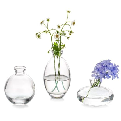 Glasseam Clear Glass Bud Vase, 3Pcs/1Set Modern Mini Small Flower Vases - color: Clear, size: 1 Set