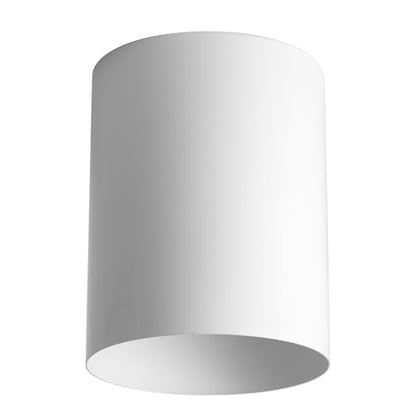 Progress Lighting 5-Inch Cylinder Outdoor Flush Mount Ceiling Light, White - color: White