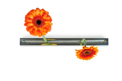 XXD Flower Boulevard Vase – an Vase – Impressed by Design