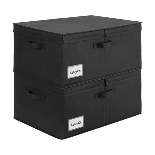 GRANNY SAYS Extra Large Storage Bins with Lids, Closet Bins, Black - color: Black, size: Extra Large - 2 Pack