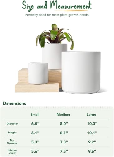 LE TAUCI 10+8+6 Inch Ceramic Pots for Plants, Indoor Planters with Drainage Hole and Plug, Modern Cylinder Flower Pots Set of 3 for Living Room and Bedroom, Satin, White - color: White