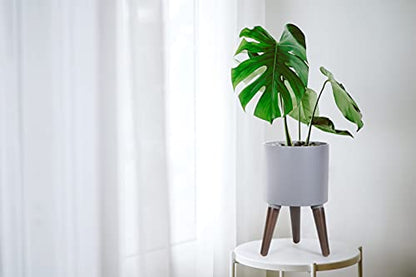 D'vine Dev 8 Inch Planter Pot with Wood Stand, Grey, 88-O-A-3 - color: Matte Grey, size: Small