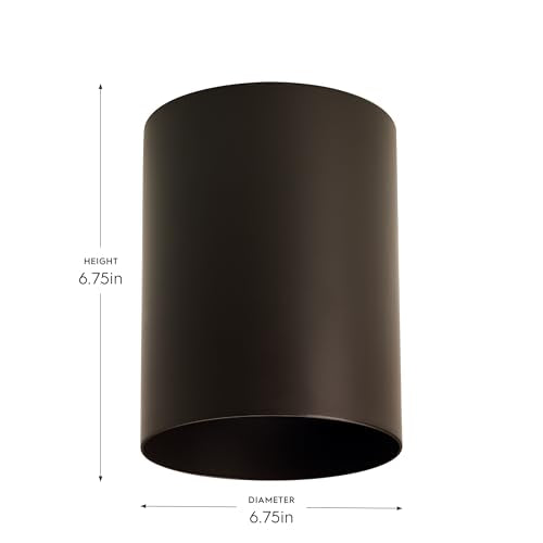 Progress Lighting 5-Inch Cylinder Outdoor Flush Mount Ceiling Light, Antique Bronze - color: Antique Bronze