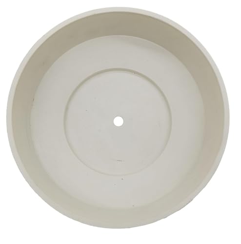 The HC Companies 8 Inch Round Plastic Succulent Capri Bowl Decorative Indoor Flower Succulent Planter Pot with Drain Plug Hole, Vanilla Bisque (2 Pack) - color: Vanilla Bisque, size: 8" (Pack of 2)