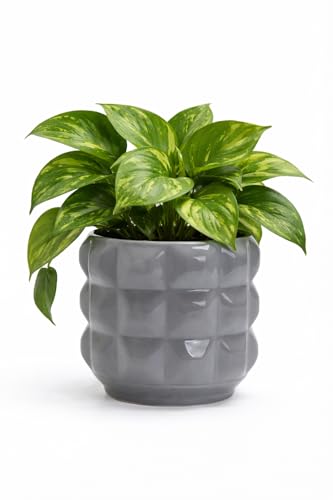 Ceramic Planter Pot with Drainage Hole, 4.5 Inch Dia, Indoor and Outdoor, Home Patio Garden, Plants Flower Succulent, 3D Patterned Round (Gray) - style: 3D Round-Gray