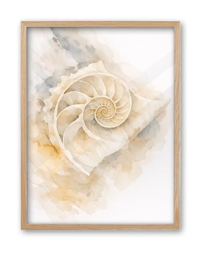 iHery 12x16in Nautilus Shell Framed Coastal Wall Art - color: OAK Framed Nautilus Shell, size: 16"L x 12"W