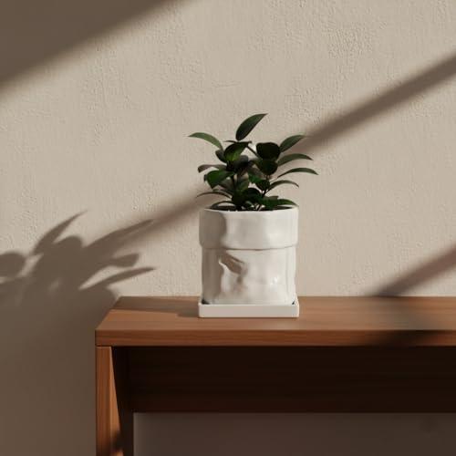 Nihow 6 Inch Ceramic Plant Pot with Drainage & Square Saucer, White - color: White, size: 6 Inch