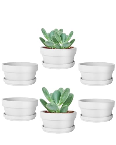 vensovo 3.7 Inch White Terracotta Succulent Pots with Saucers, 6 Pack - color: White, size: 3.7 Inch