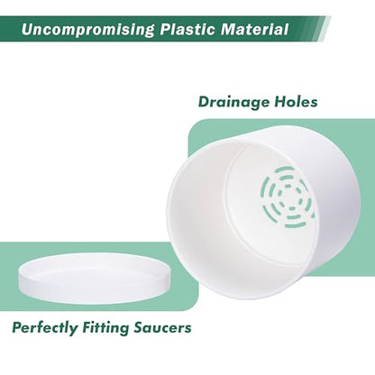 D'vine Dev Plastic Planter Pot with Saucer, 12 in, White, 74-X-A-3 - color: Matte White, size: 12 Inch