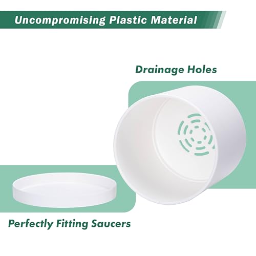 D'vine Dev Plastic Planter Pot with Saucer, 12 in, White, 74-X-A-3 - color: Matte White, size: 12"