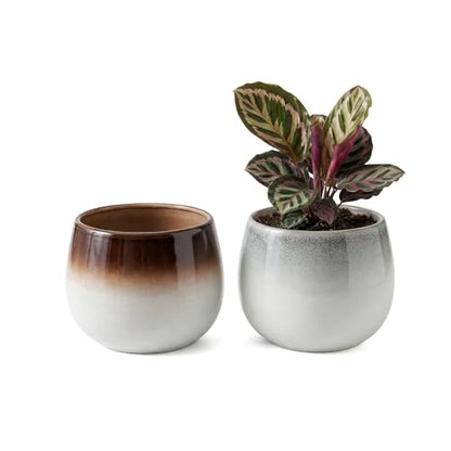 Ceramic Plant Pots, 5.5 Inch Indoor Planters, Ombre Glaze for Houseplants - color: Gradient Brown & Gray