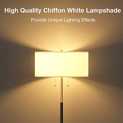 2-Light 3 Color Temperature Mid Century Floor Lamp for Living Room - color: Black & Glod