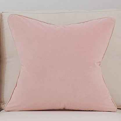 Avigers Throw Pillow Cover 18 x 18 Inch, Pink, Velvet, Hidden Zipper - color: Pink, size: 18" x 18" (Pack of 1)