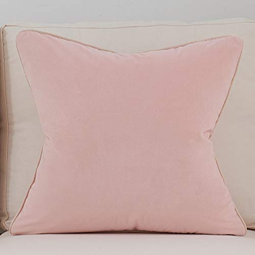 Avigers Throw Pillow Cover 18 x 18 Inch, Pink, Velvet, Hidden Zipper - color: Pink, size: 18" x 18" (Pack of 1)