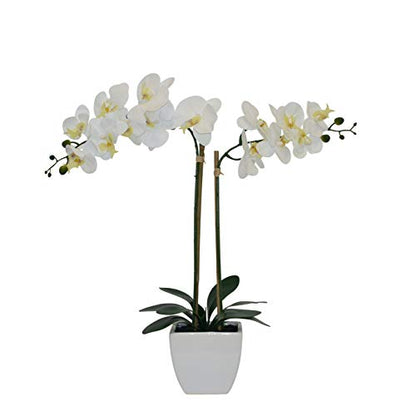 Nature's Elements Tabletop Artificial Orchid Flower (White) - color: White
