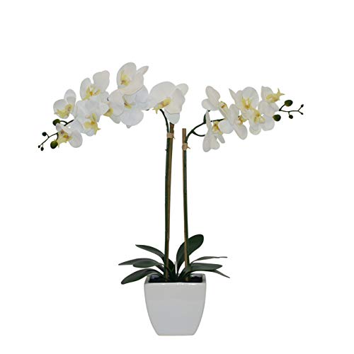 Nature's Elements Tabletop Artificial Orchid Flower (White) - color: White