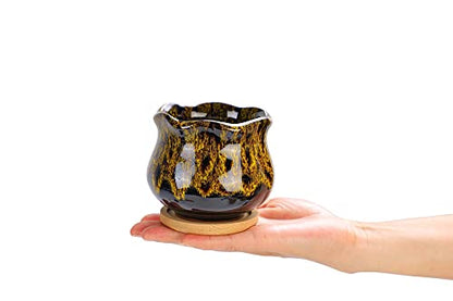 Cute Ceramic Succulent Garden Pots, Planter with Drainage and Attached Saucer, Set of 5 -Plants Not Included (Fambe) - color: Fambe