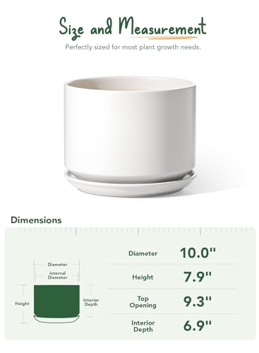 LE TAUCI 10 inch Plant Pot, Ceramic Pots for Plants, White - color: White, size: 10"