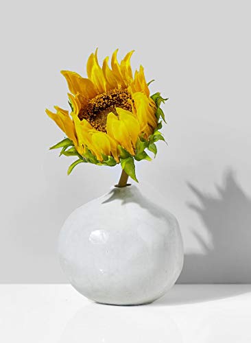 Serene Spaces Living Set of 2 Free-Form Glazed Ceramic Pomegranate Bud Vase- Centerpiece for Vintage Weddings, Events, Measures 3.5" Tall and 3.75" Diameter - color: 3.75" Glazed Pomegranate Bud Vase, 2 Pcs