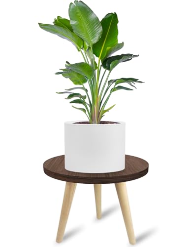 10IN Tall Plant Stand Holder Wood Plant Table for Indoor Planters - size: 10IN