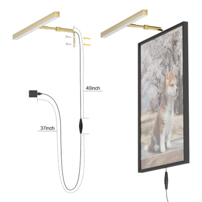 16" LED Picture Light Plug in, 5W Gold Art Light - color: Gold, size: 16 inch