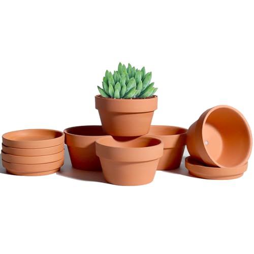vensovo 4.5 Inch Terracotta Shallow Succulent Pots with Saucers, 6 Pack - color: Brown, size: 4.5 Inch