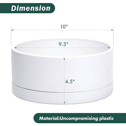 D'vine Dev 10 in Shallow Round Succulent Planter, White, 76-Z-A-2 - color: White, size: 10 Inch