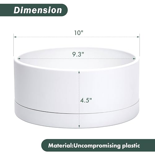D'vine Dev 10 in Shallow Round Succulent Planter, White, 76-Z-A-2 - color: White, size: 10 Inch