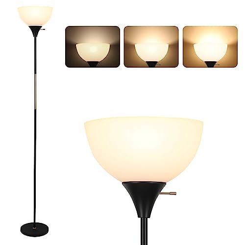 LALISU Floor Lamp, Dimmable Standing Lamp, 3 Ways Brightness Led Floor Lamp - color: Black