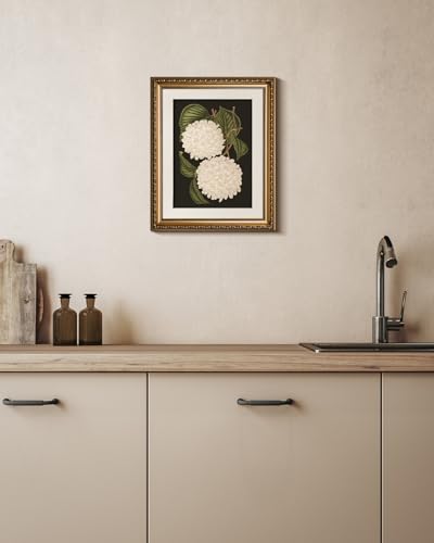 VIYYIEA Gold Framed Wall Art Canvas Print Home Decor White Hydrangea Oil Painting Canvas Prints Room Aesthetic Flower Prints Decoration Bedroom Bathroom Wall Decor Kitchen Office 13x16in - color: Hydrangea, size: 16"L x 13"W