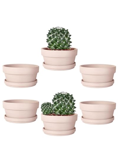 vensovo 5.7 Inch Pink Terracotta Succulent Pots with Saucers, 6 Pack - color: Pink, size: 5.7 Inch