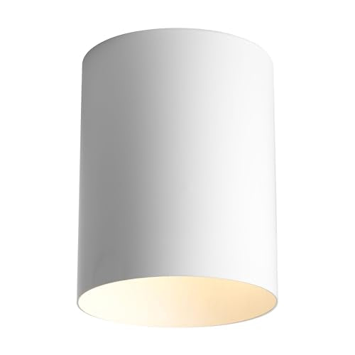 Progress Lighting 5-Inch Cylinder Outdoor Flush Mount Ceiling Light, White - color: White