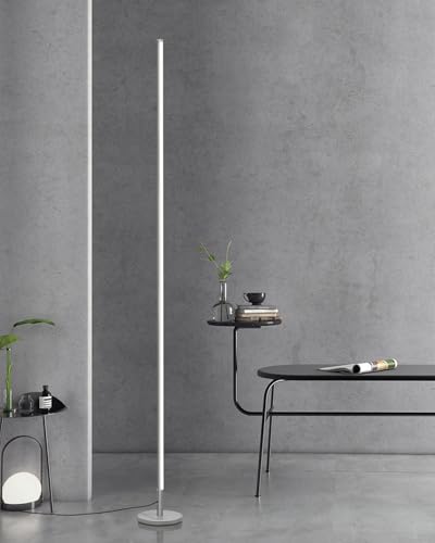 TACAHE Minimalist Corner Floor Lamp - 2700K-6500K Dimmable LED Light - color: Silver