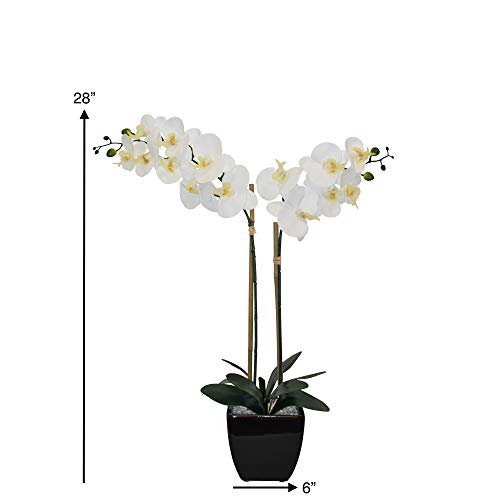 Nature's Elements Tabletop Artificial Orchid Flower (Black) - color: Black