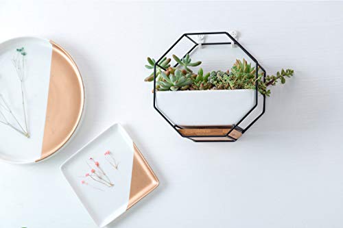 VanEnjoy 7" White Ceramic Wall Planters Vase and Copper,Drainage Hole with Bamboo Tray - Succulent Pot Air Plants Mini Cactus Artificial Flowers Hanging Geometric Hexagon Wall Decor (Black Metal)