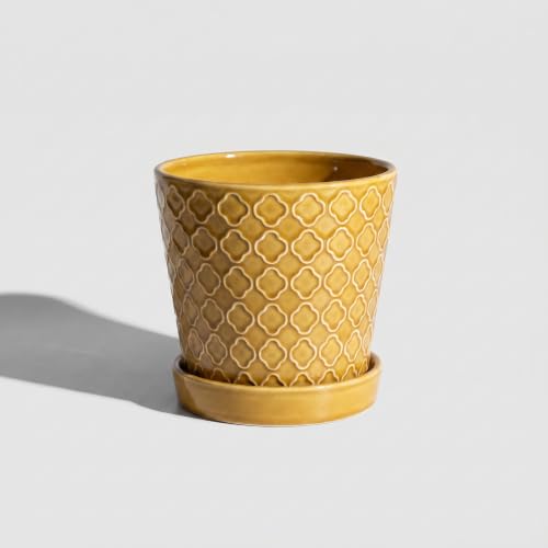 EFISPSS Ceramic Plant Pots, 5 Inch Planters with Drainage Holes and Ceramic Tray, Relief Design Flower Planter, Desktop Office Windowsill Decoration Gift Set of 4-Light Olive-Deep Yellow - color: Deep Yellow