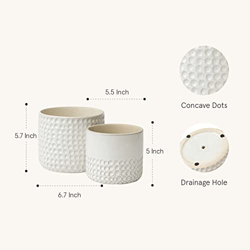 LA JOLIE MUSE Ceramic Plant Pots, Flower Pots for Indoor Plants, Set of 2 - color: Ivory