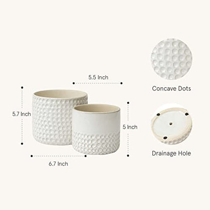 LA JOLIE MUSE Ceramic Plant Pots, Flower Pots for Indoor Plants, Set of 2 - color: Ivory