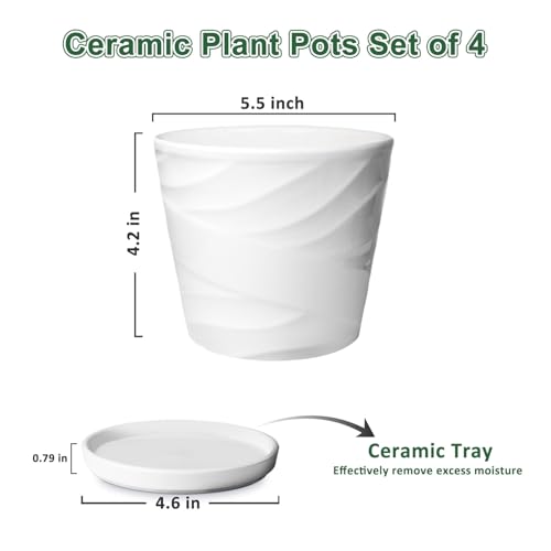 5 Inch Ceramic Plant Pots, 5.5 in Diameter, 4 Pack - color: Pure White, size: 5.5 Inch-4 Pack