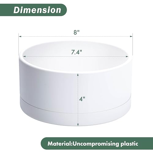 D'vine Dev 8 in Shallow Round Succulent Planter, White, 76-Z-A-1 - color: White, size: 8 Inch