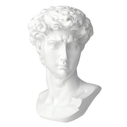Norrclp 11in Greek Statue of David, Classic Roman Head Bust - color: David-11in