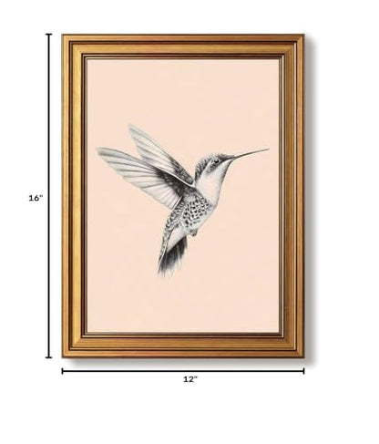 Gold Framed Hummingbird Wall Art Black And White Bird Pictures 12x16 Inch - color: Hummingbird, size: 16"L x 12"W