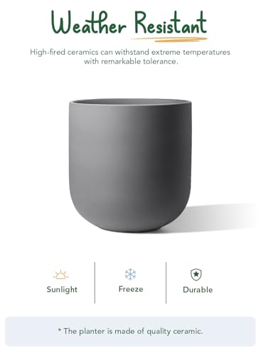 LE TAUCI 10 Inch Plant Pot, Ceramic Pots for Plants, Charcoal Gray - color: Charcoal Gray, size: 10"