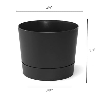 Root & Vessel Majestic Mid-Century Modern Low Profile Cylinder Pot, Matte Black, 4.5" - color: Matte Black, size: 4.5-Inch