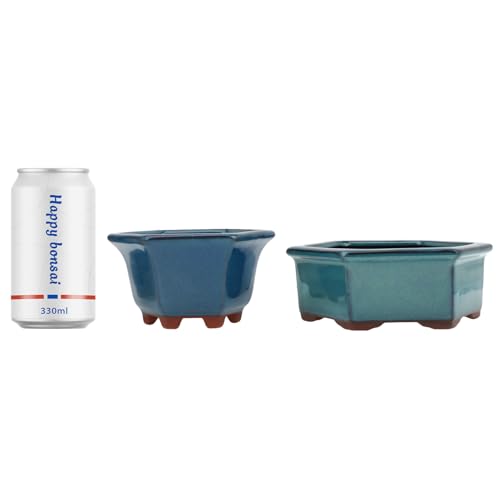 Bonsai Planter 2pc Small Succulent Glazed Pots 4.9" and 6.1" + 6 Soft Mesh Drainage Screens - style: Style B&D1