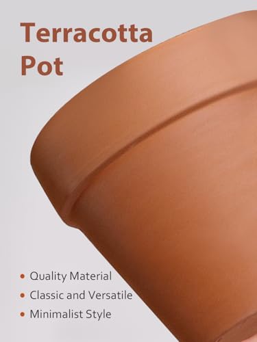 INGOFIN Terracotta Pot with Saucer 10&12 Inch - Ceramic Clay Pot for Plants with Drainage Hole, Large Terra Cotta Flower Planter with Tray for Indoor Outdoor Plants - size: 10/12 inch -2 pcs