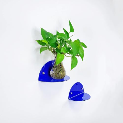 ROYALITA 2-Pack Small Acrylic Shelves Room Decor Floating Shelves, Blue - color: Blue