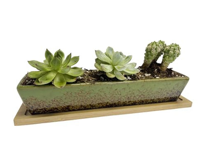 9.8inch Green Long Rectangle Ceramic Succulent Planter Pot,one Set of Mini Flower Plant Container with Bamboo Saucers. Product Size:9.8x2.35x1.77inch,not Include The Plant. - color: Green