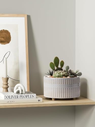 LE TAUCI Succulent Pots, 6.5+8 Inch Ceramic Indoor Plant Pot with Drainage Hole, Shallow Round Succulent Planters, Set of 2, Reactive Glaze Star White - color: Reactive Glaze Star White